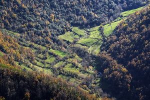 ruta en coche por los ancares leoneses