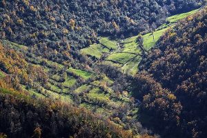 ruta en coche por los ancares leoneses