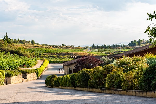 bodega del bierzo