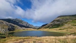 lago isoba león