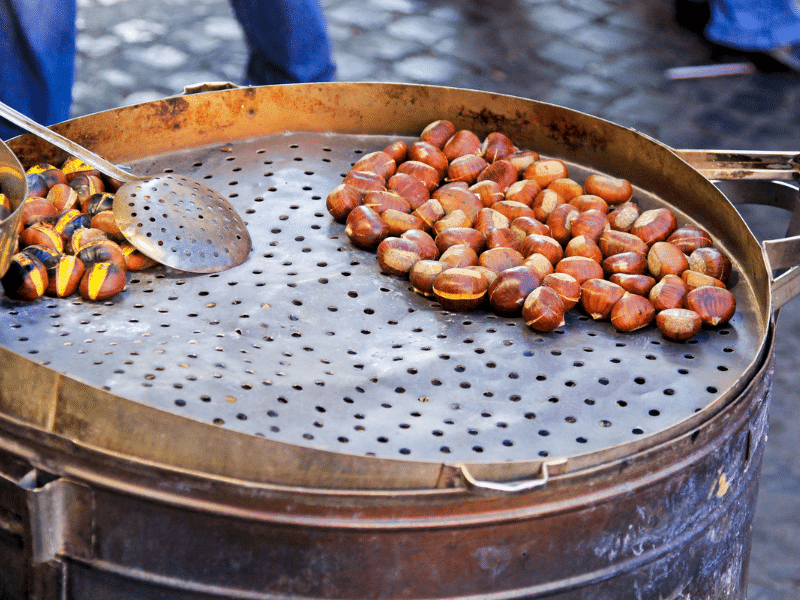 magostos en el bierzo